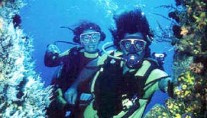 Belline II - Diving